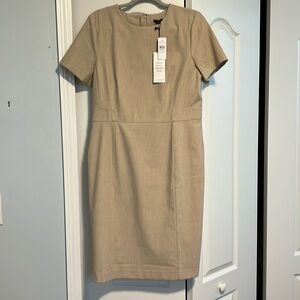 Ann Taylor Beige Sheath Dress